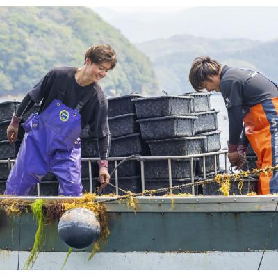 ふるさと納税 長崎市 PT900/9.0mm　アコヤ真珠　タイピン |  | 02
