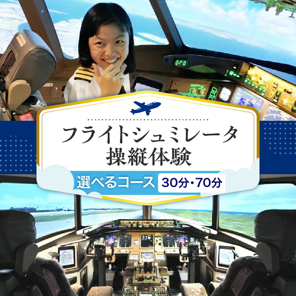 【ふるさと納税】フライト シミュレーター 操縦 体験 コースが選べる 30分 70分/ 飛行機 パイロット コックピット 本格的 ボーイング 777 チケット 東京都 品川区