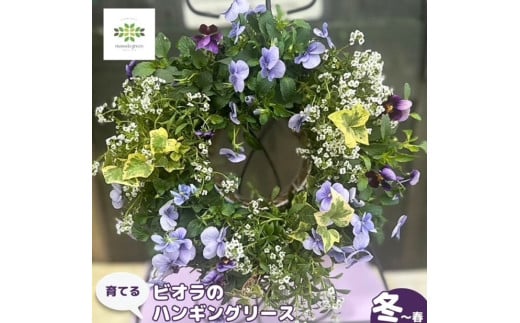 花 育てる パンジー ビオラ ハンギング リース 寄せ植え 生花 自然 お花 植物 フラワー ギフト ガーデニング 飾り 庭 ベランダ 壁掛け 贈り物 静岡県 藤枝市 オンライン決済限定