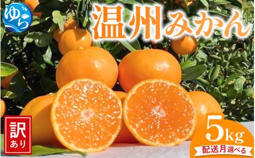 【先行予約】（訳あり）温州みかん 5kg 【11月中旬～順次出荷】/ みかん ミカン 和歌山県 柑橘  甘い 蜜柑 フルーツ 果物 くだもの 食品  産地直送 由良町 ご家庭用 温州 温州ミカン 【kwgc003-11】