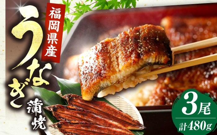 
            福岡県産 うなぎ 蒲焼 大3尾 合計 480 g（1尾あたり 160g以上）《豊前市》【福岡養鰻】 国産 鰻 蒲焼き [VAD003]
          