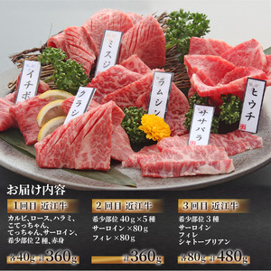 近江牛 焼肉 特上 盛り合わせ 定期便 3回 冷凍 シャトーブリアン ( 近江牛 サーロイン フィレ ヘレ 希少部位 ミスジ クラシタ イチボ ヒウチ ササバラ ラムシン 等 カルビ ロース ハラミ 