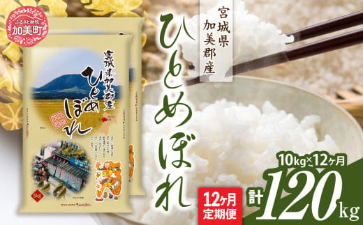 【定期便12回】令和6年産 宮城県加美産 ひとめぼれ 10kg(5kg×2）×12回 [カメイ 宮城県 加美町 ] お米 こめ コメ 精米 白米 | km00013-r6-10kg-12