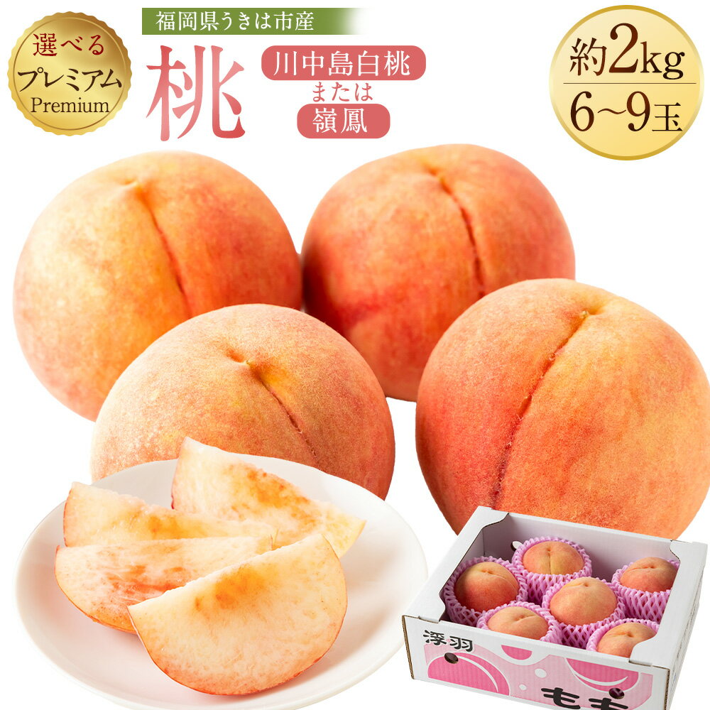【ふるさと納税】 【2026年7月上旬-8月上旬発送予定】桃（嶺鳳・川中島白桃） 約2kg（6-9玉） 大玉 もも ピーチ フルーツ くだもの 果物 果実 冷蔵 お祝い 贈答用 福岡県 うきは市 送料無料