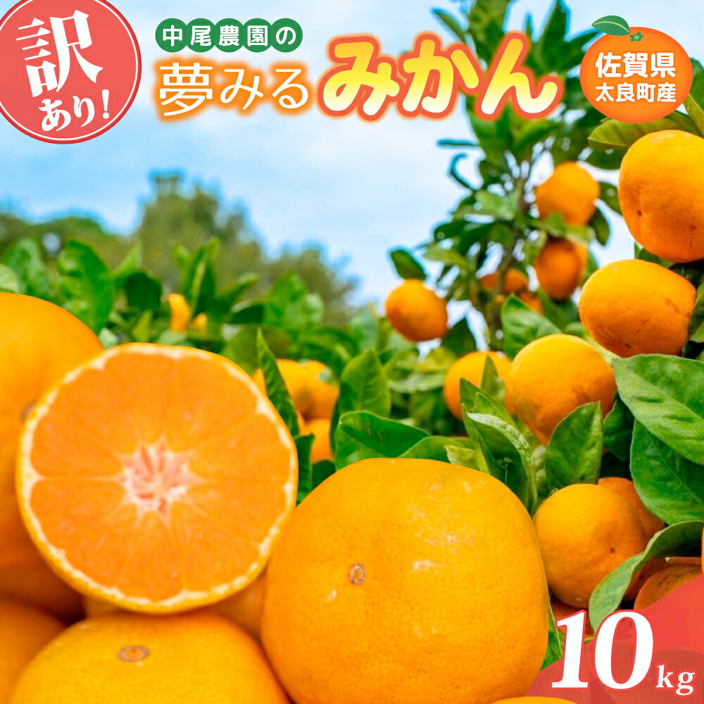 【ふるさと納税】 【訳あり】中尾農園の夢みるみかん 10kg 佐賀県 太良町 NB36
