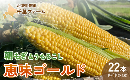 【2025.8月以降順次出荷】北海道 豊浦 千葉ファーム 朝もぎ とうもろこし 恵味ゴールド 22本 L～LLサイズ 【 ふるさと納税 人気 おすすめ ランキング 野菜 その他野菜 とうもろこし トウモロコシ 国産 朝もぎ 大容量 サイズ おいしい 美味しい あまい 新鮮 北海道 豊浦町 送料無料 】 TYUY002