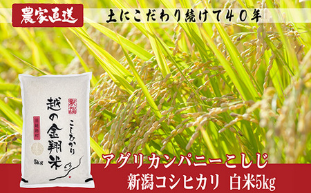 J8-7N051E【越の金翔米】新潟県長岡産コシヒカリ5kg（特別栽培米）