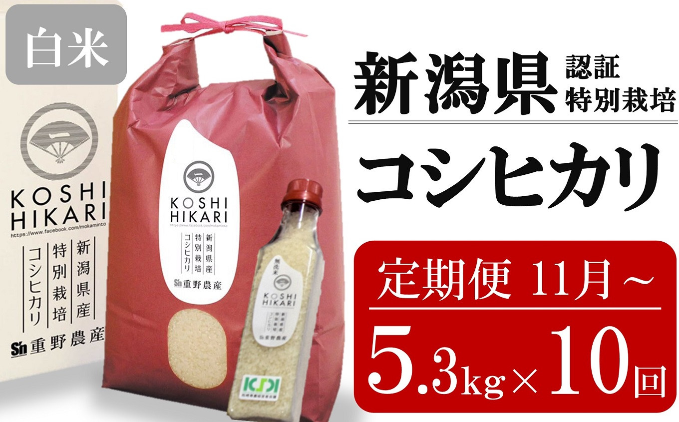 
            新米先行予約【10ヶ月定期便・11月～発送】コシヒカリ 白米 5kg（ペットボトル米 300g 1本付き）×10回 （計 53kg）重ちゃんのお米 令和7年産 [Y0080]
          