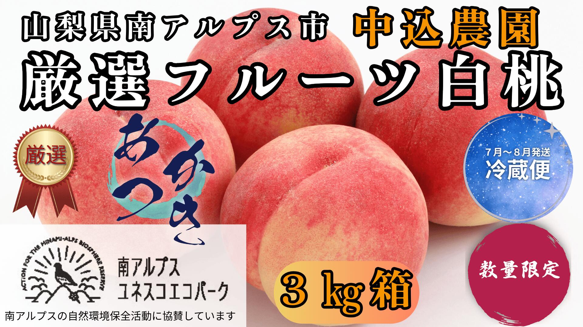 【ふるさと納税】＜2026年発送先行予約＞ 山梨県南アルプス市産 厳選桃 (あかつき) 3kg 山梨県南アルプス市産 ふるさと納税 桃 もも 果物 フルーツ おすすめ 山梨県 南アルプス市 送料無料 ALPEM007