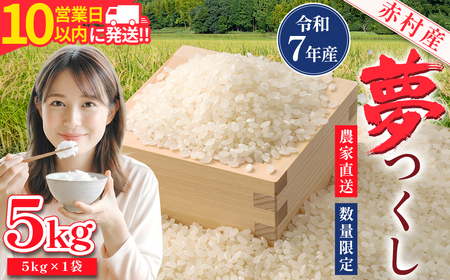 【10営業日以内に発送】 赤村産米 農家直送 【数量限定】 精米 夢つくし 5kg 4U2