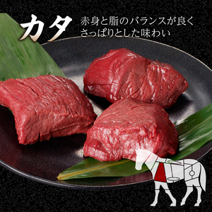 《福岡肥育》国産馬刺したれ付き【カタ100g×6P・モモ100g×4P】【冷凍】 176-039
