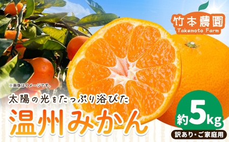 ご家庭用 温州みかん 約5kg みかん