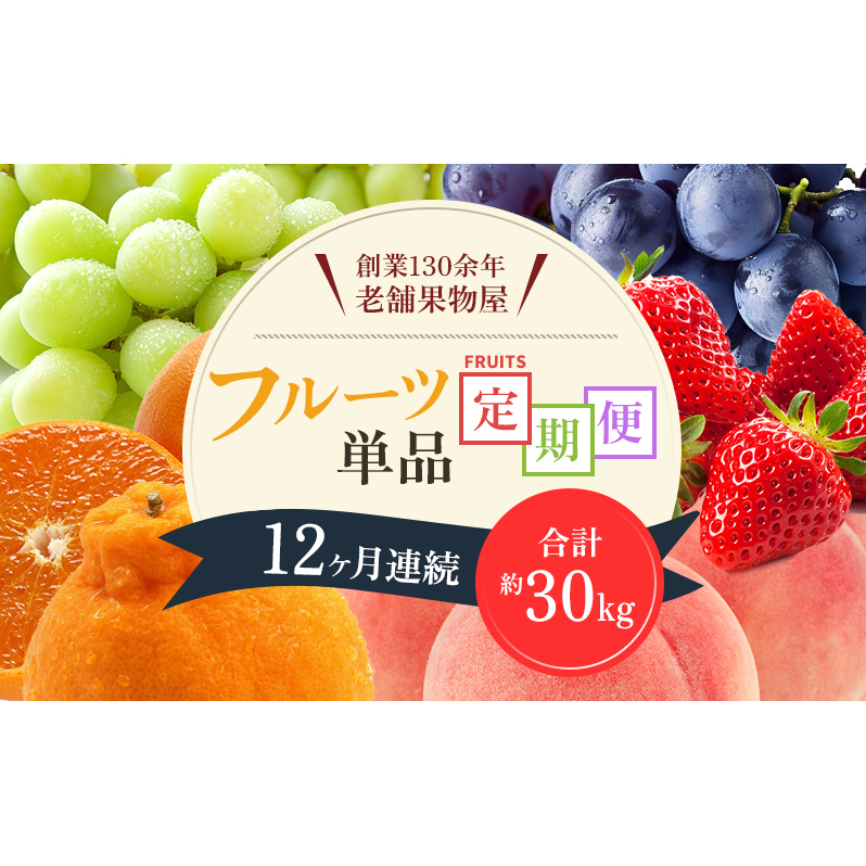 フルーツ 定期便 12ヶ月連続 毎月お届け 単品 さぬき姫いちご 苺 いちご せとか デコポン 八朔 びわ 桃 ニューピオーネ 梨 シャインマスカット さぬきゴールドキウイ キウイ 富有柿 柿 小原紅早生 みかん 柑橘 ぶどう 果物 くだもの 12回 香川県 観音寺市