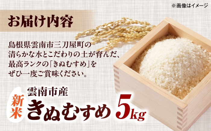 特A米 特A評価 新米予約 5年連続「特A」評価 新米 令和8年 先行予約 きぬむすめ 5㎏ 白米 精米 特A