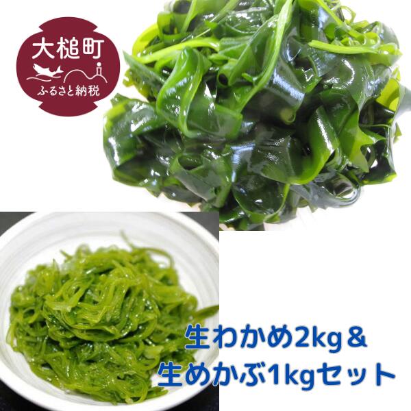 生めかぶと生わかめのセット 3kg（めかぶ1kg/わかめ2kg）【3月末～4月発送】