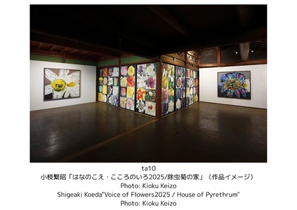 瀬戸内国際芸術祭2025作品鑑賞パスポート1枚（オールシーズン) チケット【B-69】