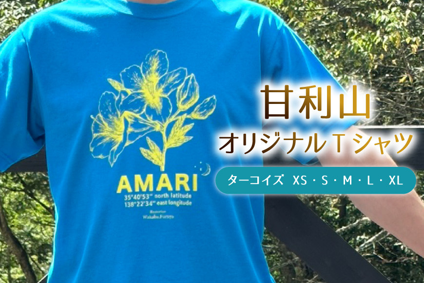 
                  トップス 甘利山 オリジナル Tシャツ （ ターコイズ ） [甘利山グリーンロッジ 山梨県 韮崎市 20744965] 半袖 レディース メンズ おしゃれ カジュアル アウトドア モンベル 登山 速乾性 通気性
                