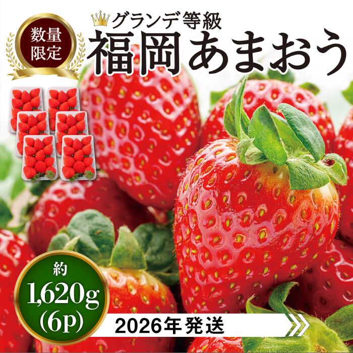 【ふるさと納税】【先行予約】 あまおう いちご 1,620g ( 約 270g × 6パック )【2026年3月初旬より順次発送】 糸島市 / 株式会社HSP-テクノ [AZL002] グランデ等級 福岡県産 15000円