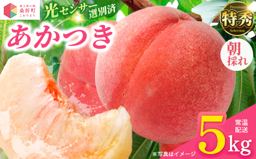 もも【あかつき・2027年産先行予約】特秀約5kg「献上桃の郷ブランド品」桑折町産　JAふくしま未来　桃 ／ もも モモ 果物 フルーツ 旬 甘い 甘み ジューシー 果肉 果汁 新鮮 フレッシュ デザート おいしい 産地直送 桑折 こおり こおりまち 福島県 特産品 献上桃の郷【07301-0099】