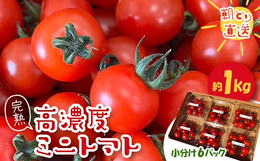 
                  ＜朝どり直送＞きむら農園の高濃度ミニトマト約1.0kg　うれしい小分け6パック完熟フルーツミニトマト【1494645】
                