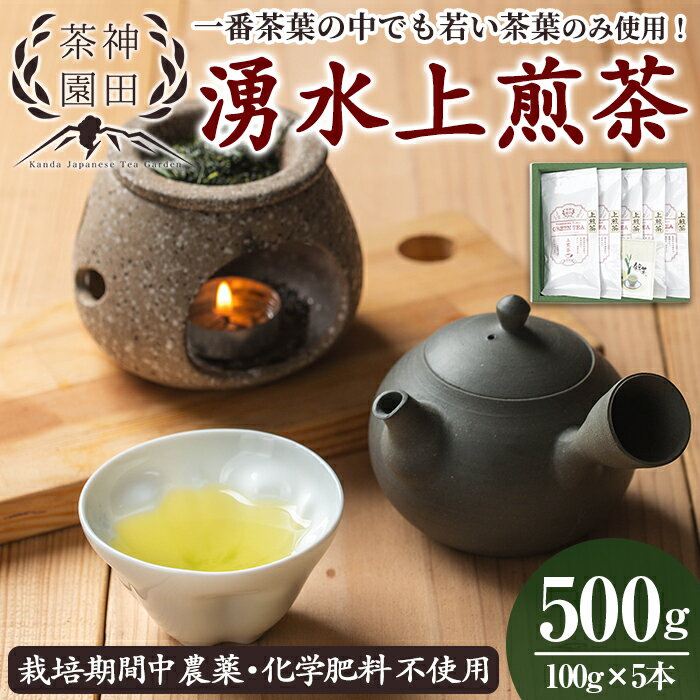 【ふるさと納税】《数量限定》鹿児島県湧水町産！栽培期間中農薬・化学肥料不使用！湧水上煎茶 計500g(100g×5本) 国産 九州産 鹿児島県産 茶葉 お茶 茶 日本茶 緑茶 上煎茶 一番茶 湧水茶 浅蒸し茶 ギフト 贈答 プレゼント 贈り物 令和7年産 【神田茶園】