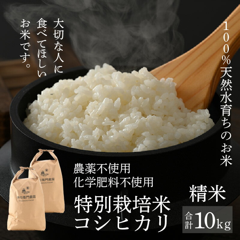 【ふるさと納税】【先行予約】【令和7年産 新米】コシヒカリ 精米 10kg 特別栽培米 5kg×2袋 化学肥料不使用 / 伊与衛門農園の特別栽培米 高品質 鮮度抜群 福井県 あわら市産 ブランド米 R7 北陸 白米 お米 ご飯 ※2025年9月下旬より順次発送予定