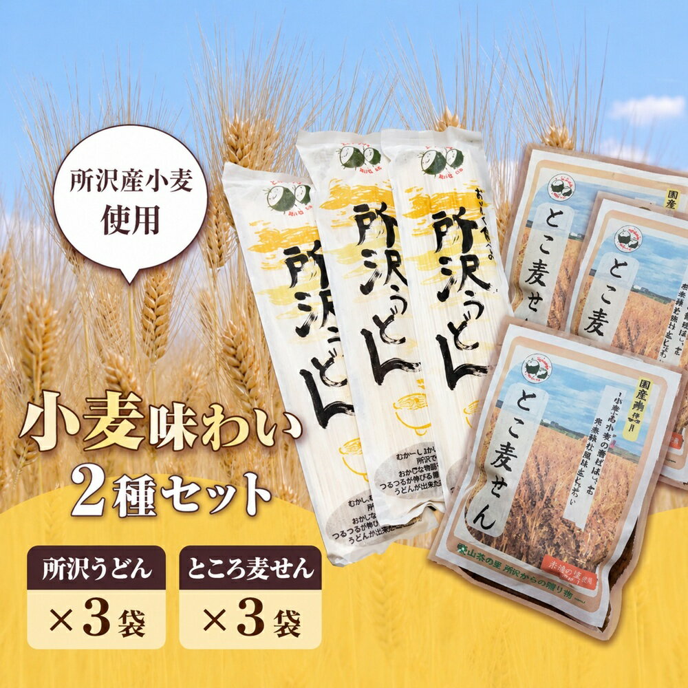 【ふるさと納税】所沢小麦味わい2種セット | うどん 饂飩 せんべい 煎餅 乾麵 麵 小麦 小麦粉 ツルツル コシ 食感 おやつ 長期保存 常備食 保存食 公益社団法人所沢市シルバー人材センター 埼玉県 所沢市