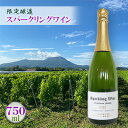 【ふるさと納税】スパークリングワイン 2022 限定醸造 北海道 伊達市産ぶどう使用 ぶどう フレッシュ フルーティー シャープ　 ワイン スパークリング お酒 シャンパン
