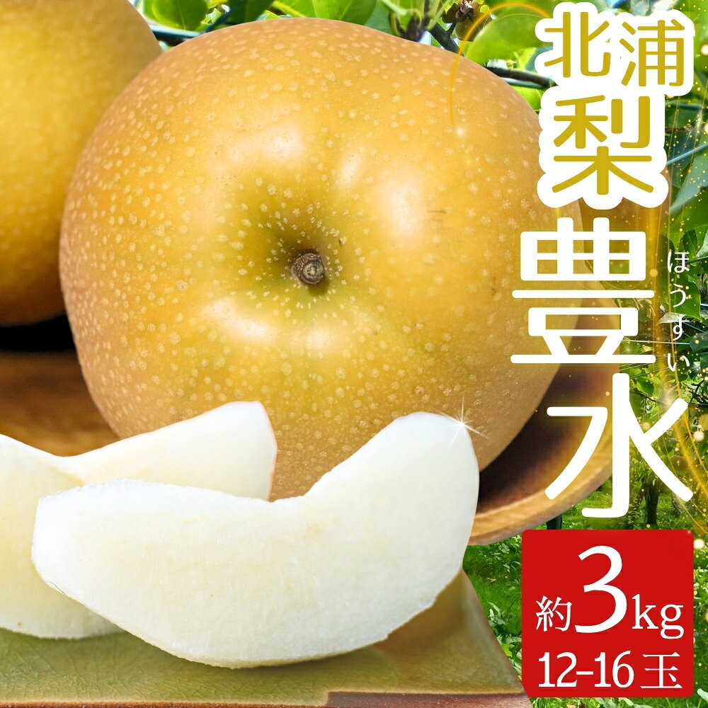 【ふるさと納税】 梨 豊水 北浦梨 3kg （12～16玉）｜なし ナシ 北浦 美里 ほうすい 自家用 贈答