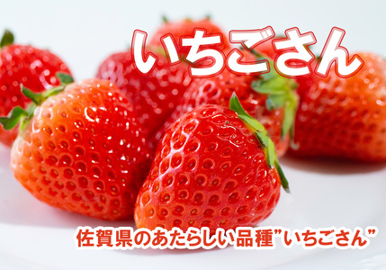 AE029_中山さんがお届けするこだわり農産物&加工品　年３回セット