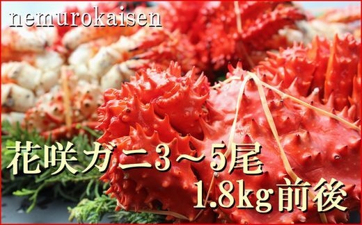 
                  B-57032 【北海道根室産】茹でたて花咲ガニ3～5尾 計1.8kg前後(チルド便)
                