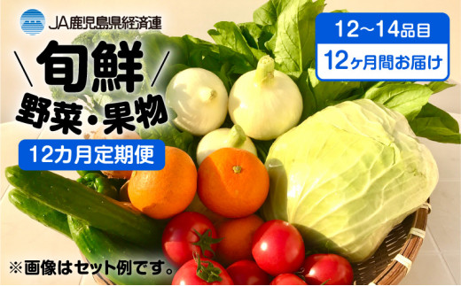 
【JA直売所セレクト】12ヵ月定期便！旬鮮野菜・果物セット（12～14品目）　K072-T02
