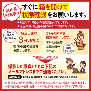 【2027年2月～3月発送】完熟「古都華」奈良ブランドいちご3L～Mサイズ6パック　先行予約 ことか 甘い 糖度 濃い 濃厚 果汁 香り 朝摘み いちご イチゴ 苺 フルーツ 果物 くだもの ご褒美 