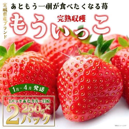 【完熟収穫】いちご　もういっこ　250g×2パック　【04324-0204】