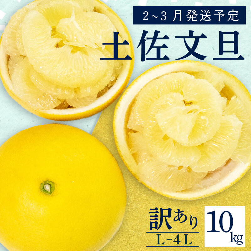 【2月上旬から発送】 訳あり 文旦 高知 10kg  L 〜 4L サイズ 混合 浦ノ内特産 早期予約 予約受付中 期間限定 季節限定 限定 旬 みかん ミカン ぶんたん 高知県 土佐文旦 柑橘 家庭用 KN003