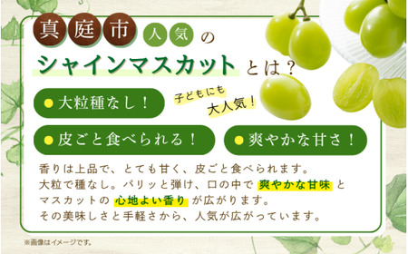 【2026年先行予約】ぶどう 岡山 花笑み農園 『シャインマスカット』約2kg（3～4房） 贈答用 岡山 真庭 シャインマスカット 真庭市 【hana016-02】