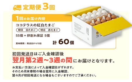 【3ヵ月定期便】ココテラスの紅白たまご　55個 + 5個保証（計60個）