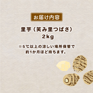 先行予約 里芋 笑み里つばさ さといも 産地直送 里芋 国産 期間 野菜 髙橋農園 里芋 新潟 新発田 takahashi003