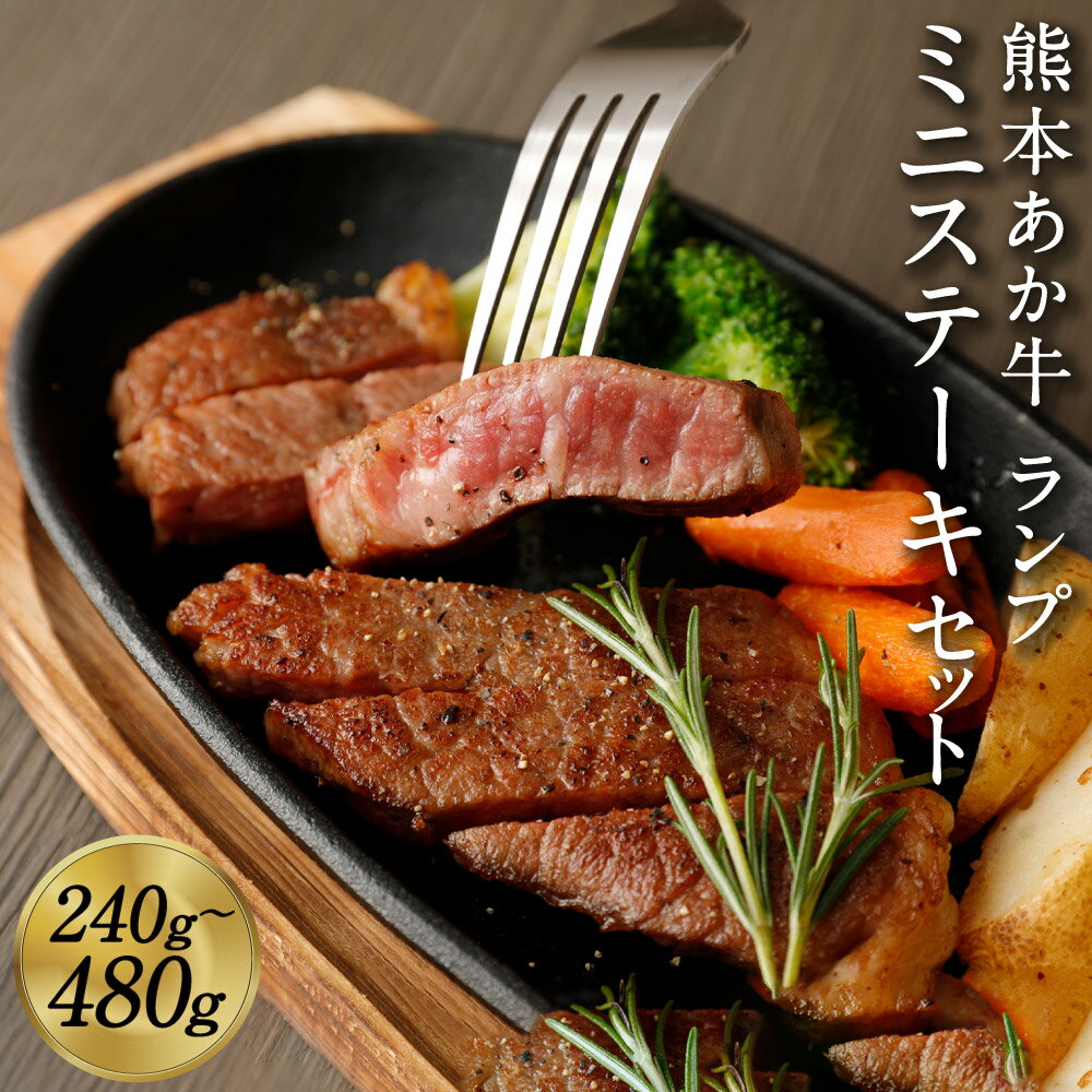 【ふるさと納税】熊本赤牛ミニステーキセット ランプ 240g/480g 選べる内容量 国産 九州産 和牛 あか牛 赤牛 熊本 ステーキ セット 詰め合わせ お肉 冷凍 送料無料