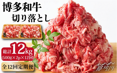 【全12回定期便】博多和牛 牛肉 切り落とし 大容量 1000g（500g×2P）＜株式会社MEAT PLUS＞那珂川市 牛肉 切り落とし 切り落とし肉 定期便 大容量定期便 切り落とし定期便牛肉 肉 黒毛和牛 ブランド牛 国産  BBQ バーベキュー  132000 132000円 [GBW015]