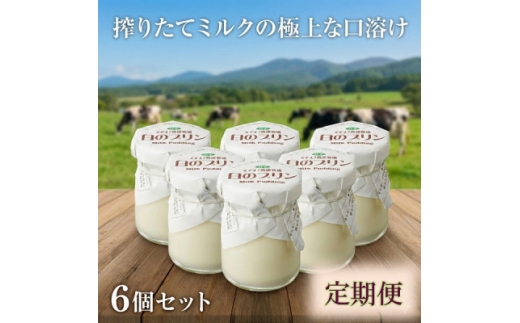 ＜毎月定期便＞くずまき高原牧場 白のプリン 6個セット全8回【4078719】