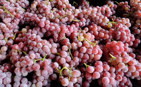 2024 Dela Logique（オレンジワイン）７５０ｍｌ　0160-2503