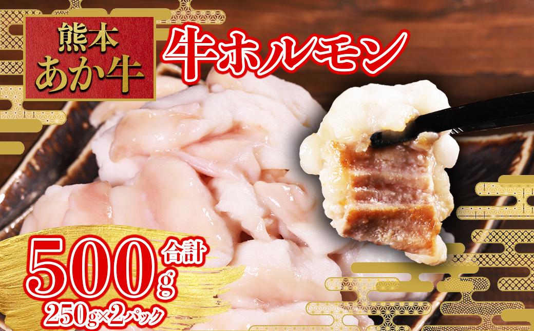 
                  希少な和牛ホルモン！ 熊本和牛 あか牛 ホルモン 500g (250g×2パック)  もつ鍋 焼肉 肉 牛肉 もつ コラーゲン 冷凍 小分け 熊本県 水上村
                
