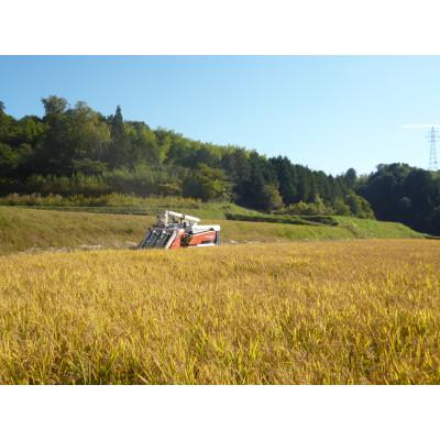 ふるさと納税 鏡野町 令和7年産 鏡野町産 きぬむすめ 精米10kg |  | 01