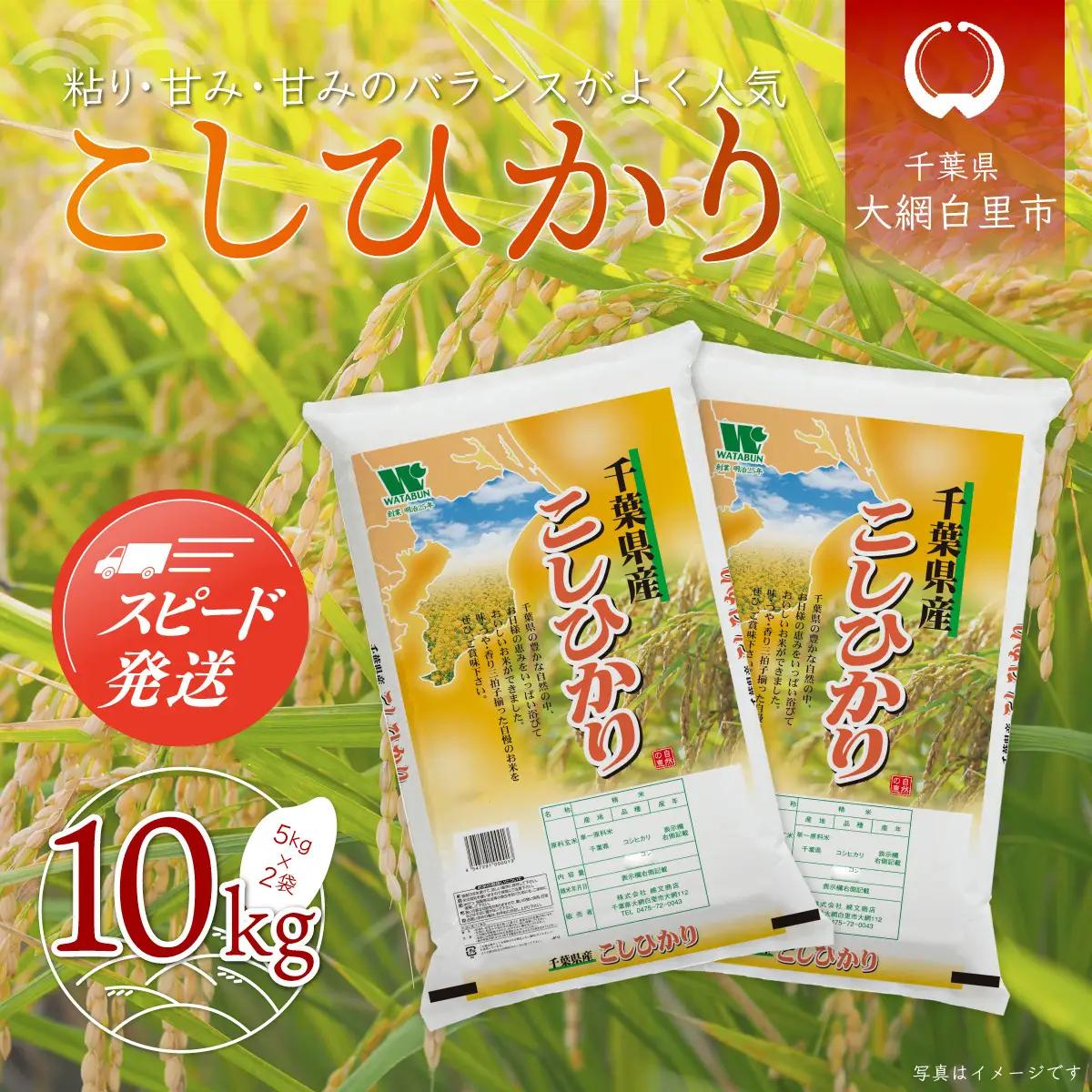 新米 令和8年産 千葉県産「コシヒカリ」10kg（5kg×2袋） お米 10kg 千葉県産 大網白里市 コシヒカリ 米 精米 こめ 送料無料 A011
