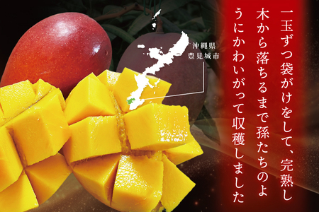 【2026年7月より順次発送】豊見城産マンゴー『殿内之宝(どぅんちのたから)・極』約1kg｜マンゴー フルーツ 果物 くだもの 先行予約 完熟マンゴー 沖縄フルーツ おきなわ 沖縄 沖縄県 豊見城市(