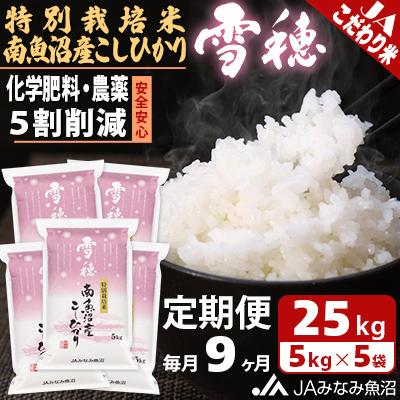 ふるさと納税 南魚沼市 【毎月定期便】特別栽培米南魚沼産こしひかり「雪穂」 精米 25kg(5kg×5袋) 全9回