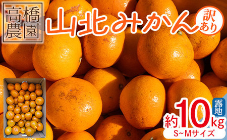 山北みかん 10kg 訳アリ 露地(Ｓ～Ｍ) Ｂ品【みかん みかん みかん みかん みかん みかん】 th-0018