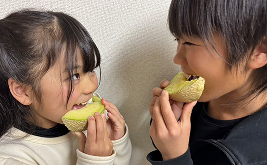 静岡暗室マスクメロン アローマ印　　　　　山級約1.45kg以上　2玉【配送不可地域：離島・北海道・沖縄県】