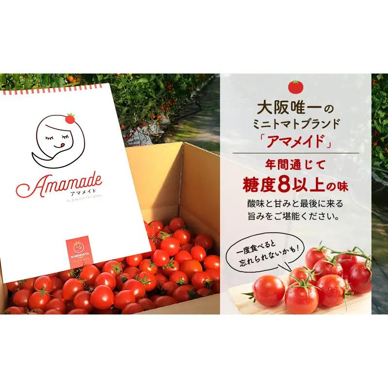 糖度8度以上 ミニトマト アマメイド 3kg 高糖度 定期 3回 2026年10月～順次出荷